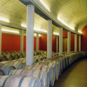 Bodegas Alfonso García Hernando bodega con barriles para vino