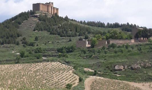 Bodegas Alfonso García Hernando vista del viñedo y la bodega 